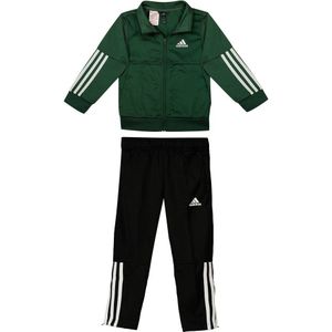 Adidas 3 Stripes Team Track Suit Groen 5-6 Years