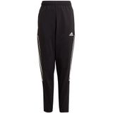 Adidas Tiro 21 Pants Zwart 13-14 Years