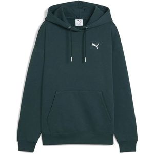 Puma Maximal Metallic Comfort Hoodie