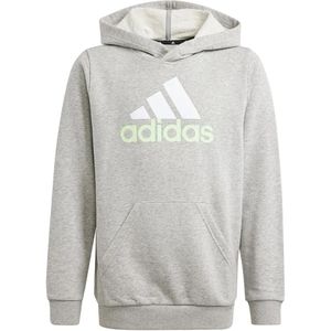 Adidas Essentials 2 Coloured Big Logo Hoodie