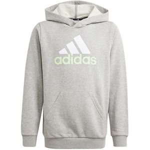 Adidas Essentials 2 Coloured Big Logo Hoodie