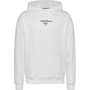 Tommy Jeans Reg Entry Graphic Ext Hoodie