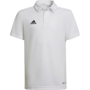 Adidas Entrada 22 Short Sleeve Polo Wit 13-14 Years