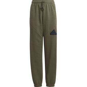 Adidas Future Icons Logo Pants Groen 15-16 Years