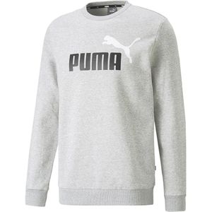 Puma Ess+ 2 Col Big Logo Hoodie