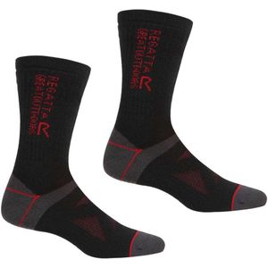 Regatta Wool Hiker Socks 2 Pairs Zwart EU 39-42 Man