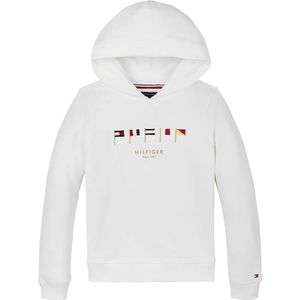 Tommy Hilfiger Multi Flag Regular Fit Hoodie