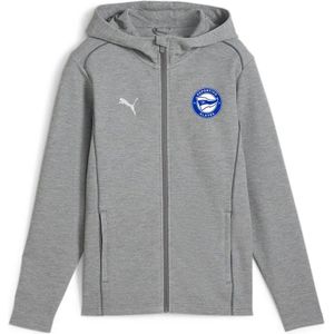 Puma Deportivo Alavés Team Final Casuals Hoodie