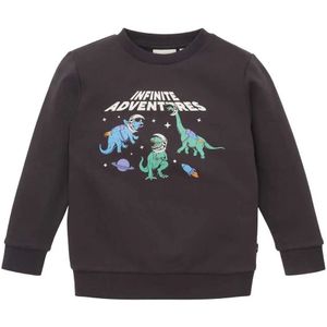 Tom Tailor 1039183 Glow In The Dark Sweatshirt