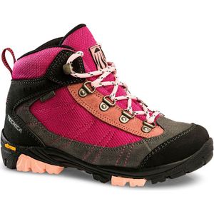 Tecnica Makalu Ii Goretex Hiking Boots Roze EU 31
