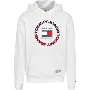 Tommy Hilfiger Athetic Hoodie