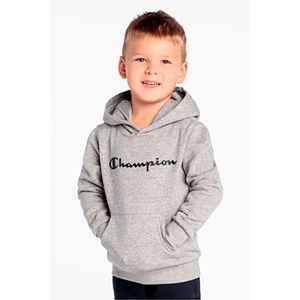 Champion 305358 Hoodie