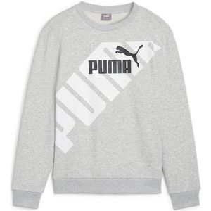 Puma Power Graphic B Sweatshirt Grijs 13-14 Years Jongen