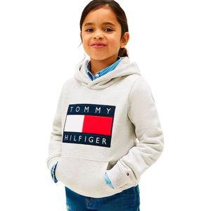 Tommy Hilfiger Kids Heritage Flag Hoodie