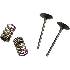 Prox Kawasaki Kx 250 F 28.sis4336-2 Springs Inlaatklep