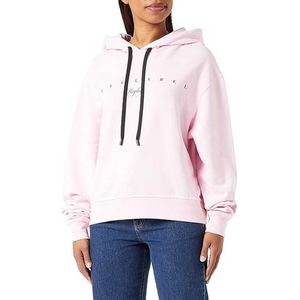 Replay W3711m.000.21842 Hoodie