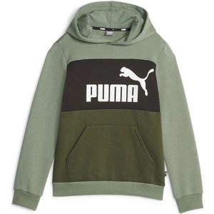 Puma Ess Block Fl Hoodie