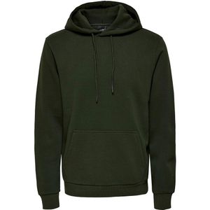 Only & Sons Ceres Hoodie Groen S Man