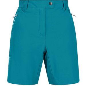 Regatta Mountain Shortsii Korte Broek