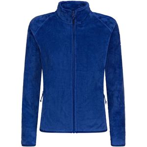 Rock Experience Polar Mock Neck Fleece Met Volledige Rits