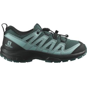 Salomon Xa Pro V8 Hiking Shoes Groen EU 36