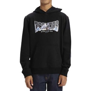 Dc Shoes Astro Ph Hoodie
