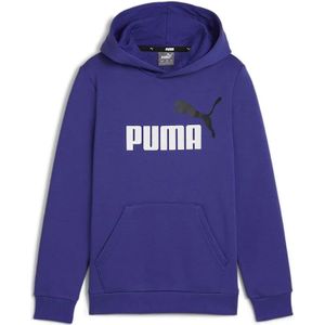 Puma Ess+ 2 Col Big Logo Hoodie