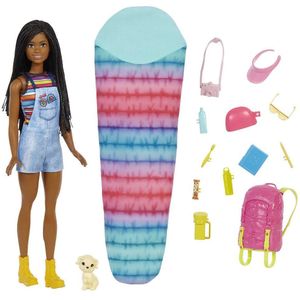 Barbie It Takes Two Brooklyn Camping And Accessories Doll Veelkleurig 3 Years