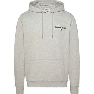 Tommy Jeans Reg Entry Graphic Hoodie