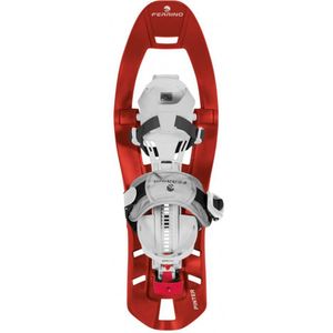 Ferrino Pinter Special Snowshoes Zilver EU 34-48