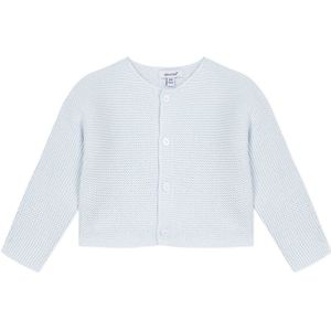 Absorba Essential Cardi Mousse Sweater Blauw 12 Months