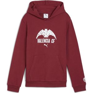 Puma Valencia Cf Football Culture Junior Hoodie