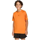 Adidas Sport Icons 3 Stripes T-shirt Met Korte Mouwen