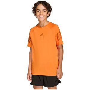 Adidas Sport Icons 3 Stripes T-shirt Met Korte Mouwen