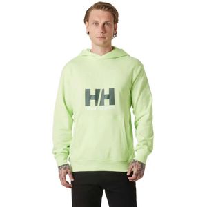 Helly Hansen Core Graphic Hoodie