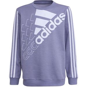 Adidas Logo Sweatshirt Paars 9-10 Years