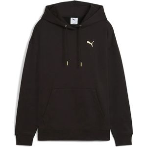 Puma Maximal Metallic Comfort Hoodie