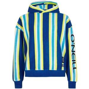 O´neill Brights Terry Hoodie