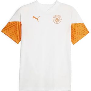 Puma Manchester City Fc 23/24 Training T-shirt Met Korte Mouwen
