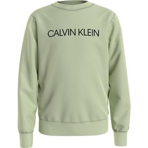 Calvin Klein Jeans Institutional Logo Sweatshirt Groen 6 Years Jongen