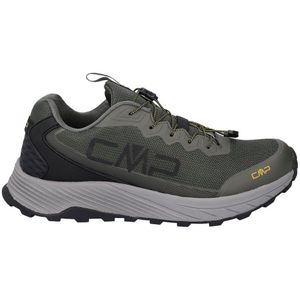 Cmp Phelyx Waterproof 3q65897 Hiking Shoes Groen EU 42 Man