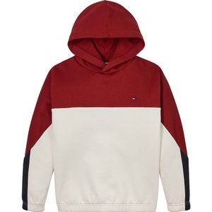 Tommy Hilfiger Colorblock Fleece Hoodie