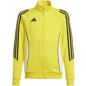 Adidas - Tiro24 - Trainingsjack - Slim Fit - Junioren
