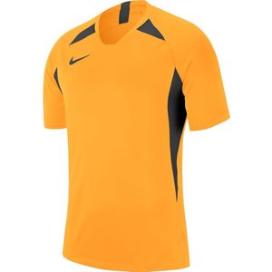 Nike Dri Fit Striker V T-shirt Met Korte Mouwen