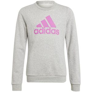 Adidas Essentials Big Logo Cotton Sweatshirt Roze 9-10 Years