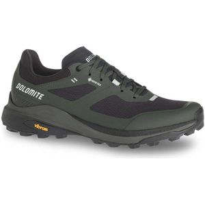 Dolomite Nibelia Goretex Hiking Shoes Groen EU 41 1/2 Man