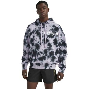 O´neill Oakes Hoodie