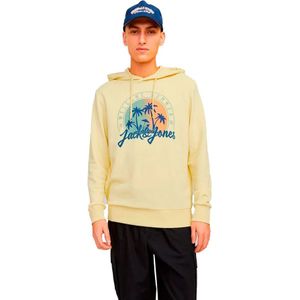 Jack & Jones 12249267 Hoodie