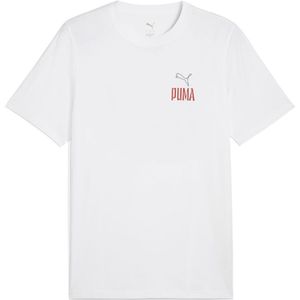 Puma Road To Unity Values Graphic T-shirt Met Korte Mouwen