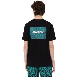 Dickies Clackamas Box Short Sleeve T-shirt Groen S Man